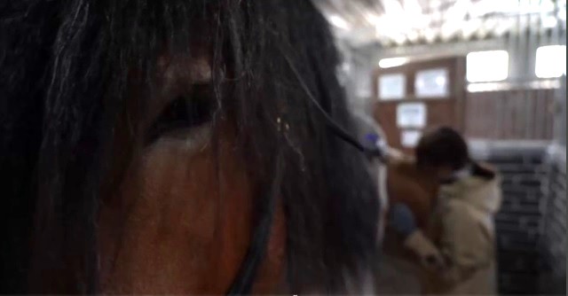 Программа дуального образования  «Рабочий по уходу за животными»