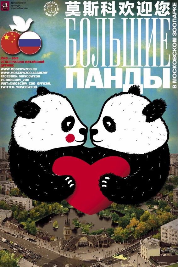 Панды