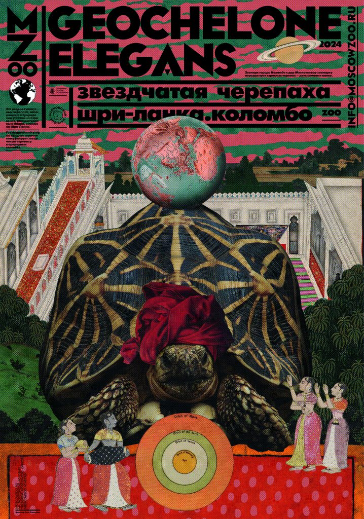 Звездчатая черепаха