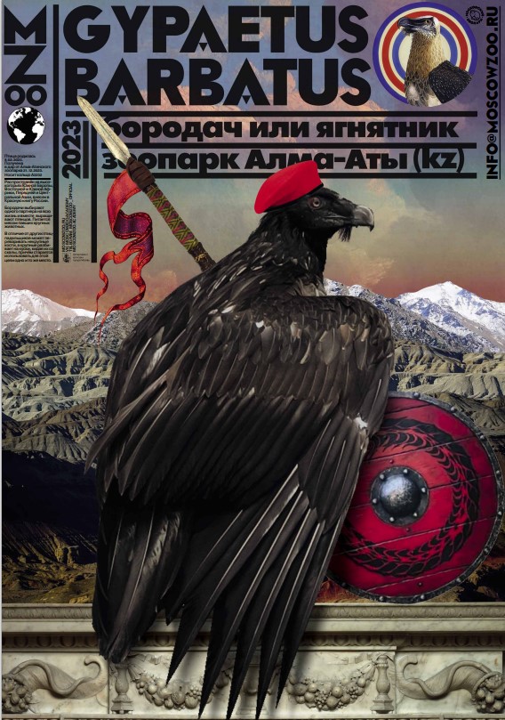 Бородач, или ягнятник