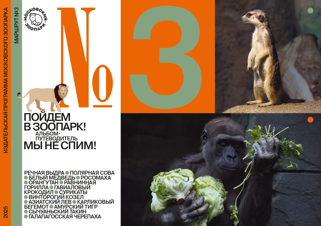 Маршрут №3. Мы не спим! Путеводитель по зимнему зоопарку